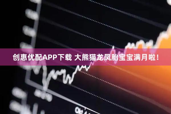 创惠优配APP下载 大熊猫龙凤胎宝宝满月啦！