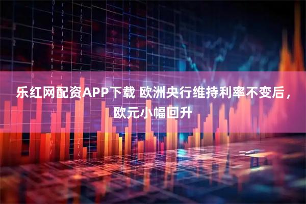 乐红网配资APP下载 欧洲央行维持利率不变后，欧元小幅回升
