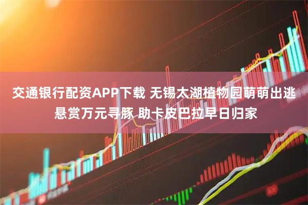 交通银行配资APP下载 无锡太湖植物园萌萌出逃 悬赏万元寻豚 助卡皮巴拉早日归家