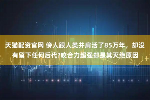 天猫配资官网 傍人跟人类并肩活了85万年，却没有留下任何后代?咬合力超强却是其灭绝原因