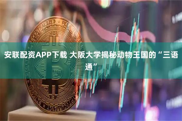 安联配资APP下载 大阪大学揭秘动物王国的“三语通”
