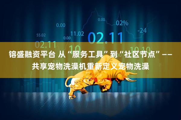 镕盛融资平台 从“服务工具”到“社区节点”——共享宠物洗澡机重新定义宠物洗澡